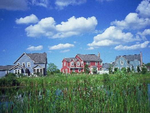 Sanctuary Pond